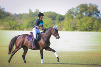 RWP_5678