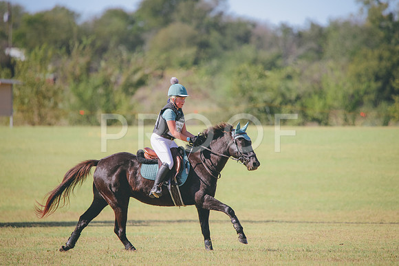 RWP_5782