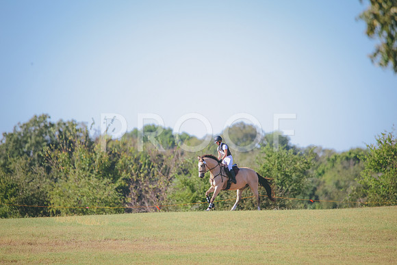 RWP_5816