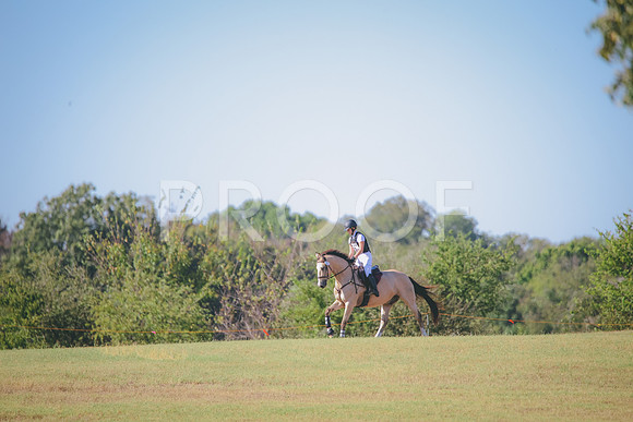 RWP_5817