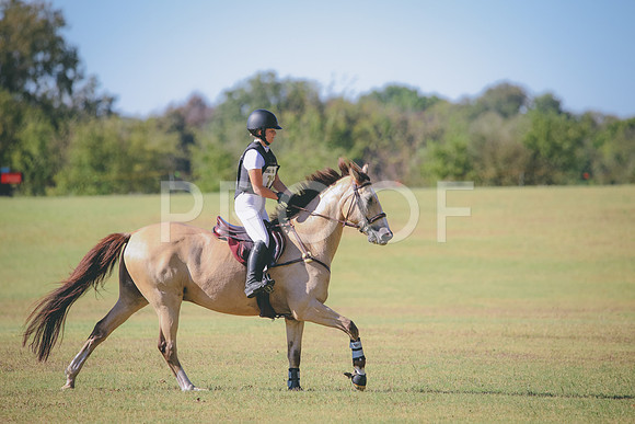 RWP_5829