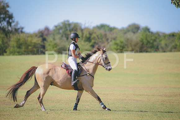 RWP_5830