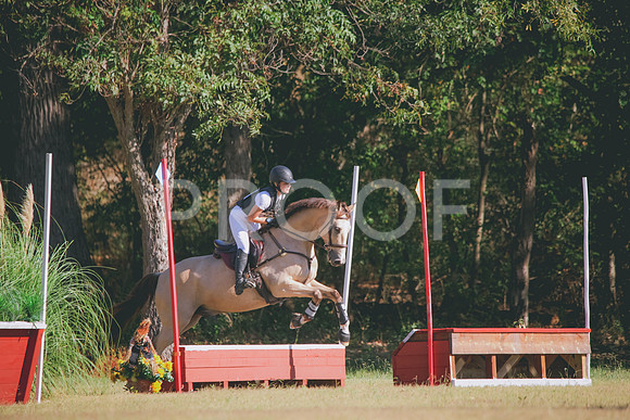 RWP_5832
