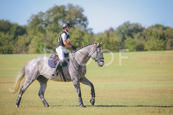 RWP_5844