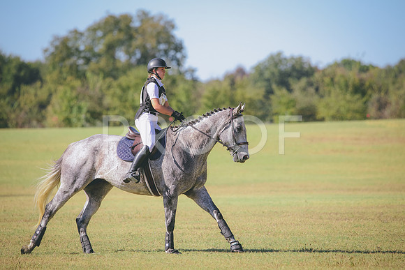 RWP_5845