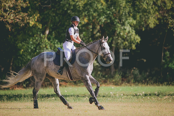RWP_5857