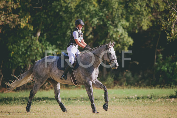 RWP_5858