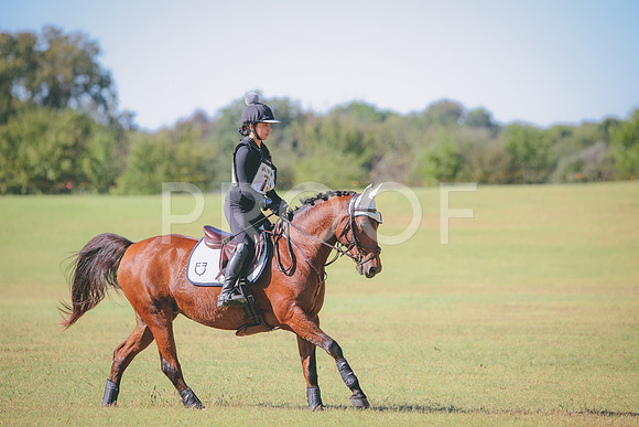 RWP_5877
