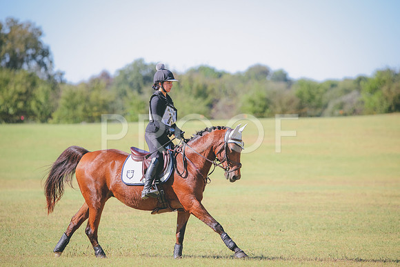 RWP_5878