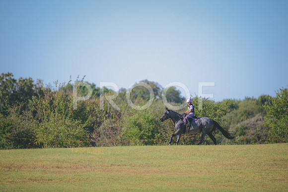 RWP_5892