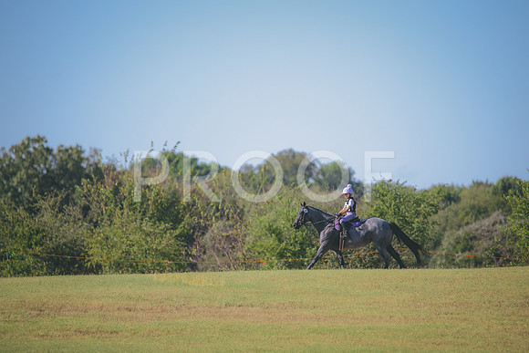RWP_5894