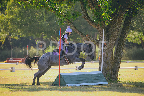 RWP_5908
