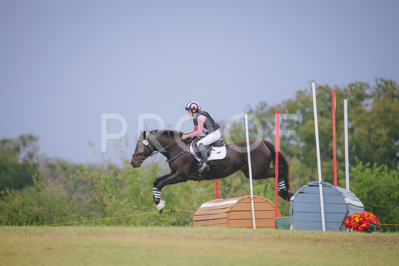 RWP_4408