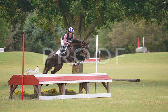 RWP_4429