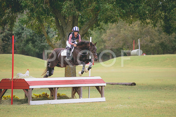 RWP_4431