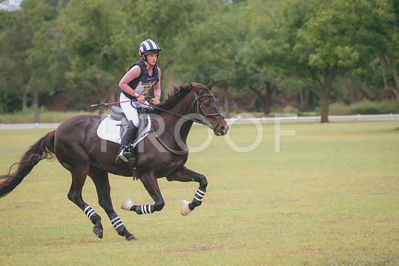 RWP_4434