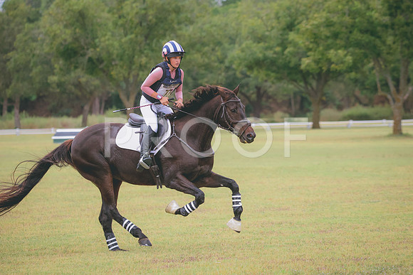 RWP_4435