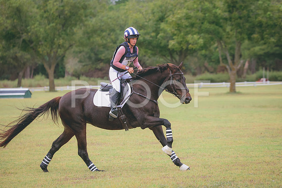 RWP_4437