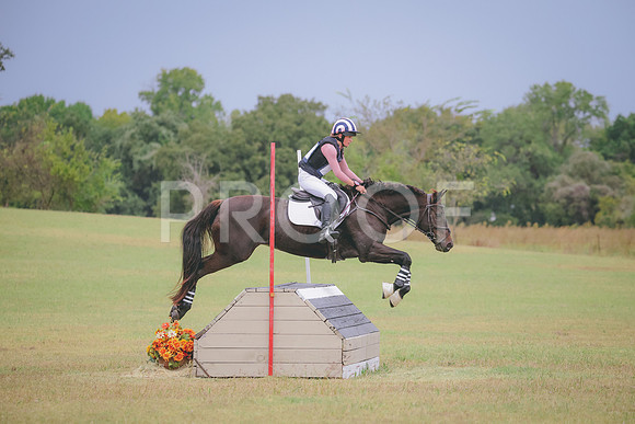 RWP_4442