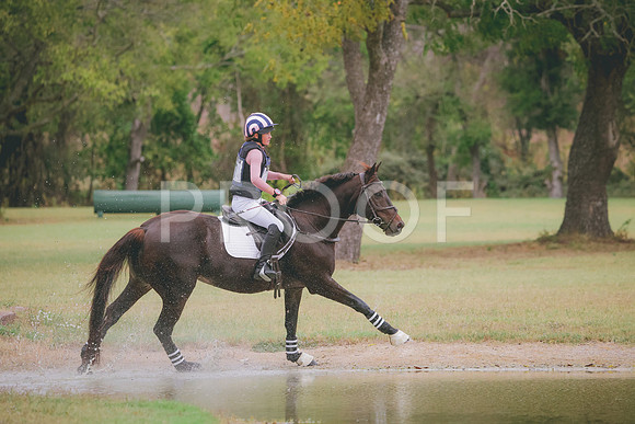 RWP_4446