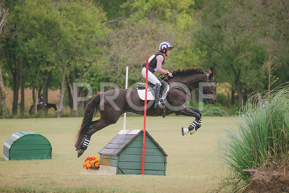 RWP_4453