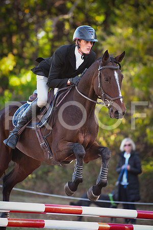 DSC_7768