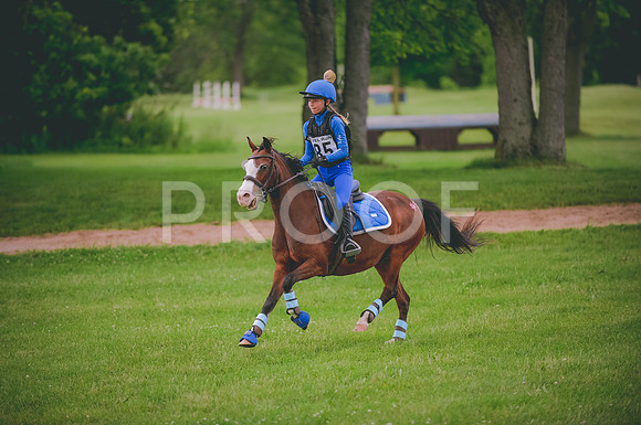 JJS_1478