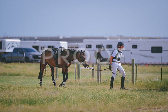 DSC_0018
