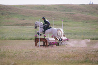 CDH_6017