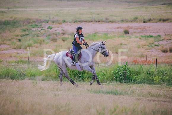 _MG_0088
