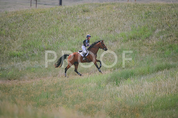 DSC_3107