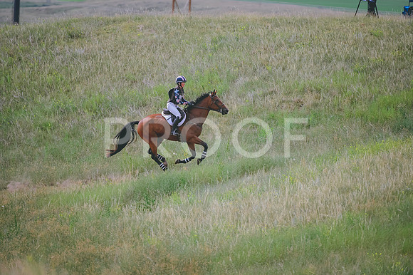DSC_3112