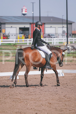 CDH_3768