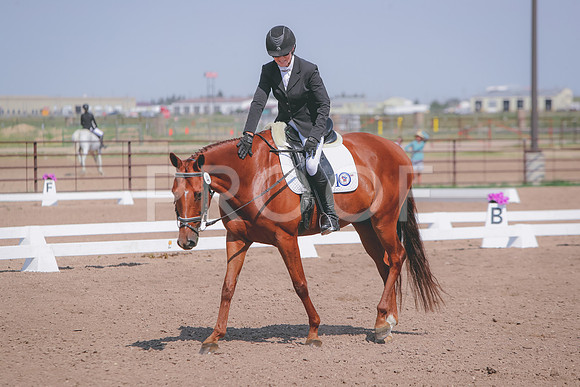 CDH_3939