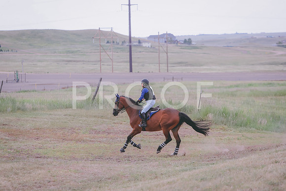 CDH_6595