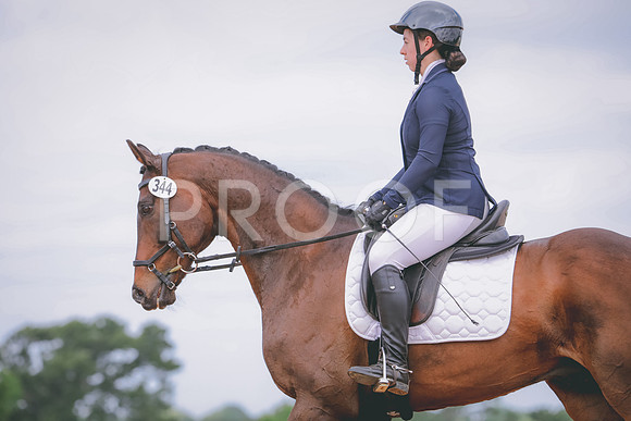 RWP_4210