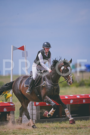 DSC_8810