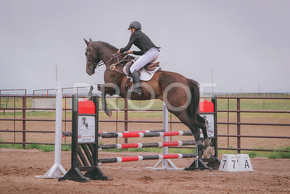 CDH_9130