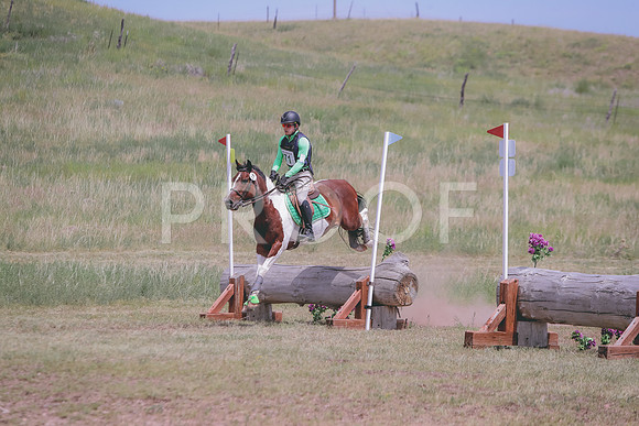 CDH_6993