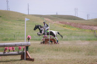 CDH_6973