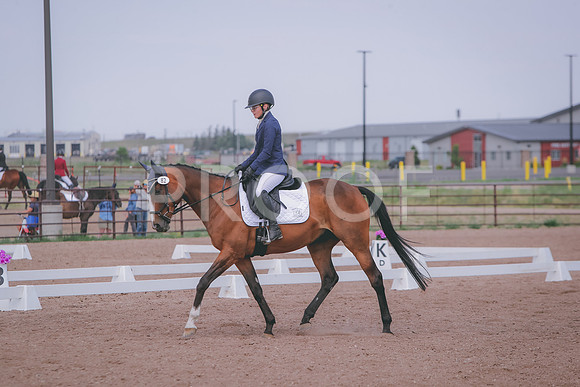 CDH_4446