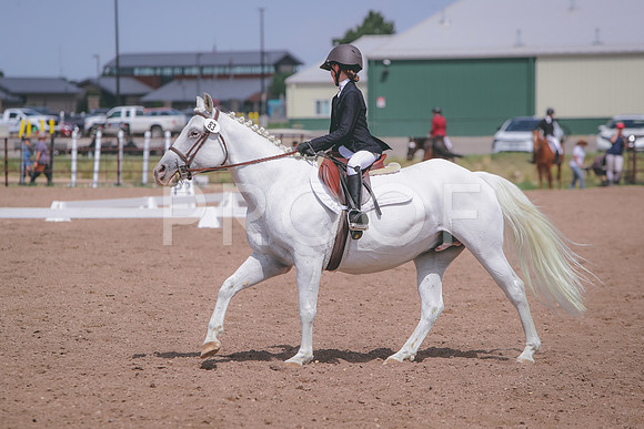 CDH_4538