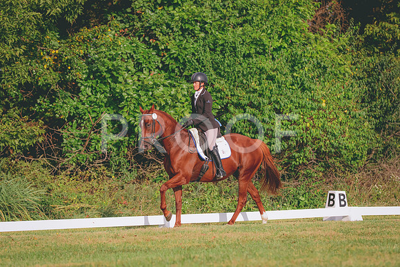 661A4311
