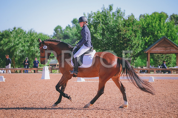 RWP_9506