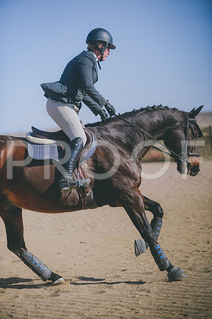 JJS_2784