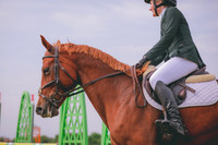 661A2216