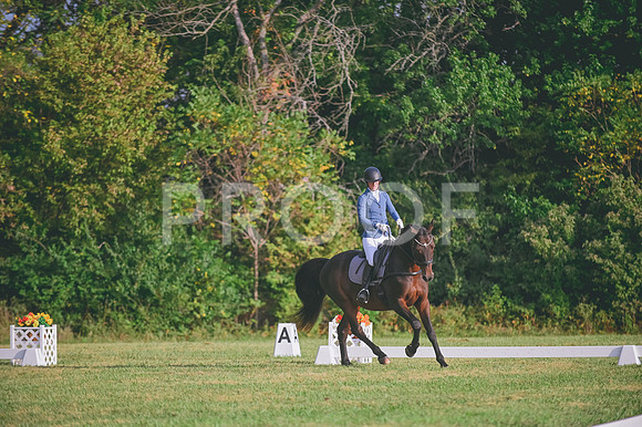DSC_8515