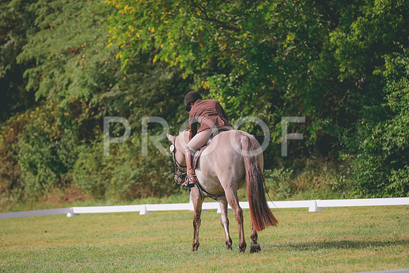 661A6415