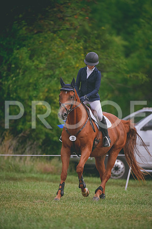 DSC_1299