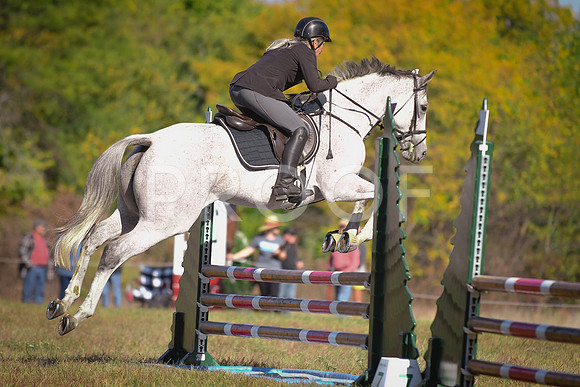 DSC_9095